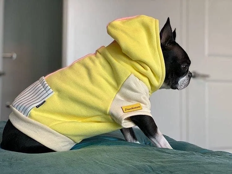 Dog Hoodie in Banana Split