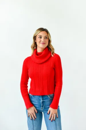 Red-y To Cuddle Turtleneck Sweater